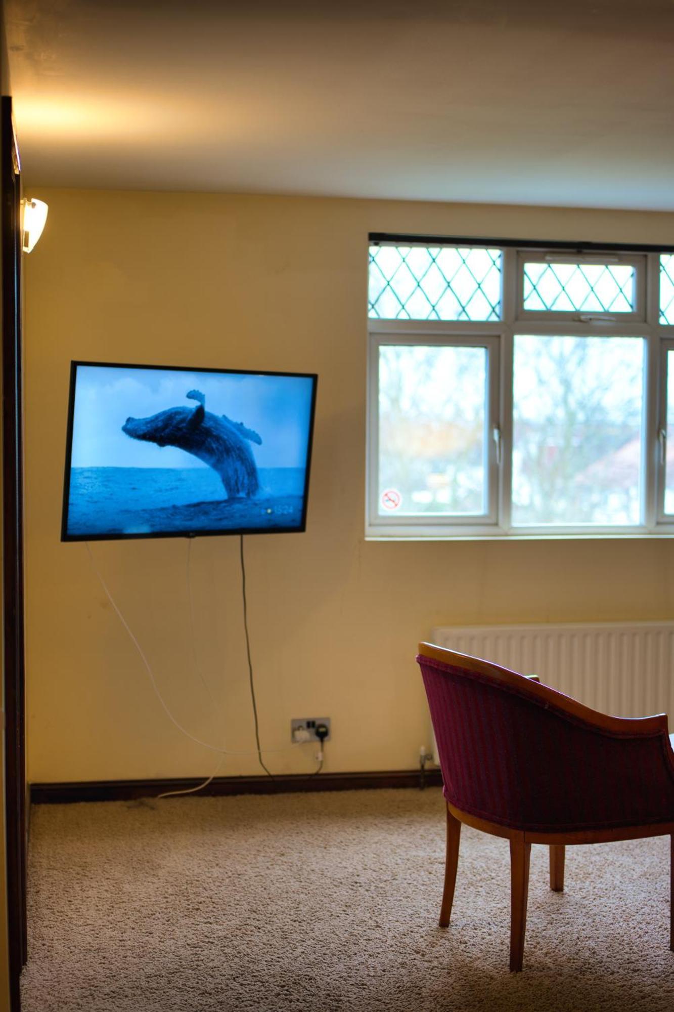 Clifton House 3* Hove